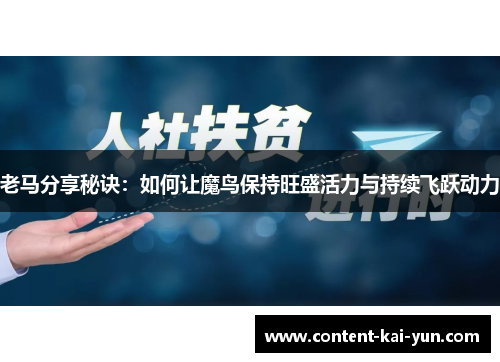 老马分享秘诀：如何让魔鸟保持旺盛活力与持续飞跃动力