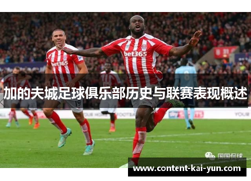 加的夫城足球俱乐部历史与联赛表现概述 加的夫城足球俱乐部历史与联赛表现概述