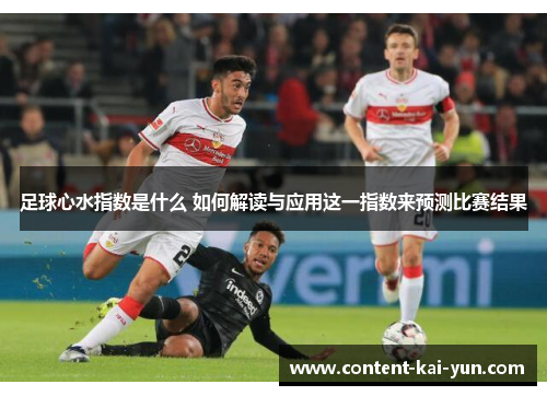 足球心水指数是什么 如何解读与应用这一指数来预测比赛结果